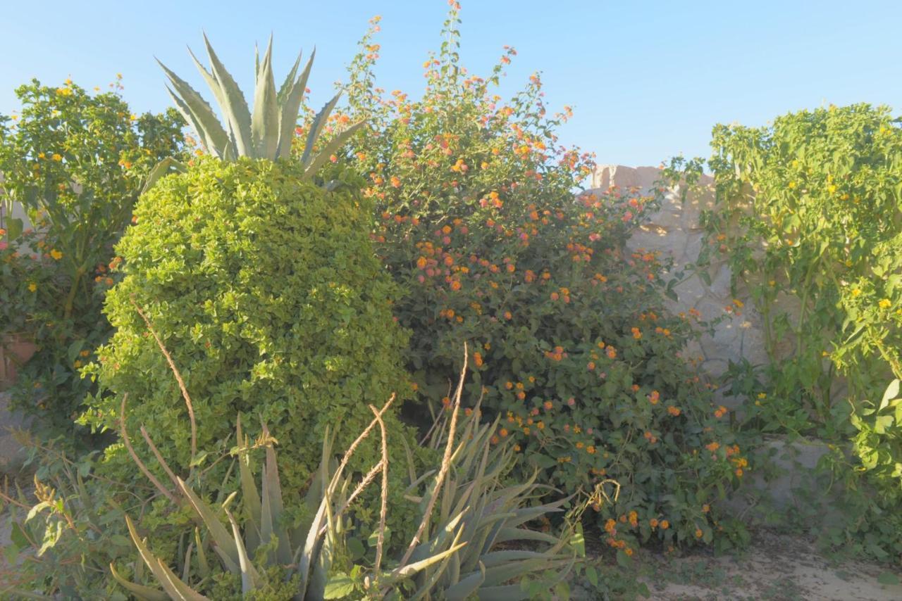 Al Ḩayy Happy Bedouin House Petra Bed & Breakfast エクステリア 写真