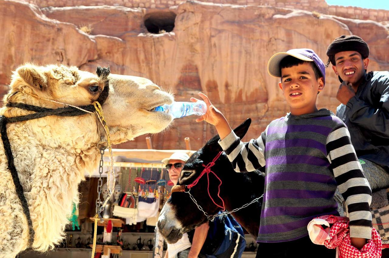 Al Ḩayy Happy Bedouin House Petra Bed & Breakfast エクステリア 写真